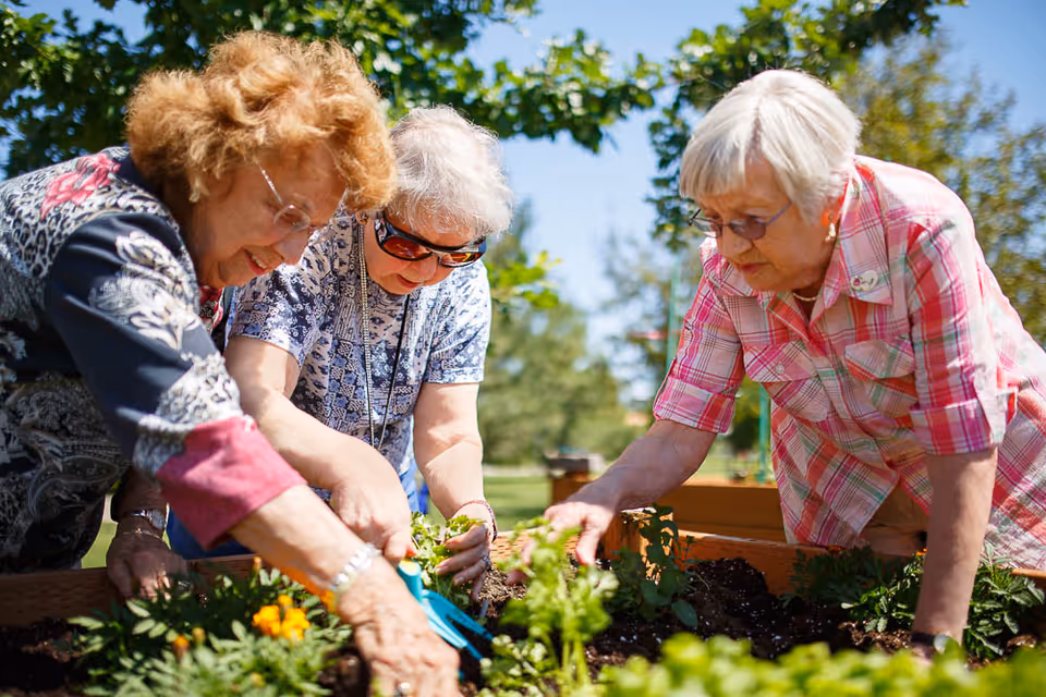 Three elderly women gardening together outdoors, tending to plants in a raised garden bed on a sunny day with trees and blue sky in the background.