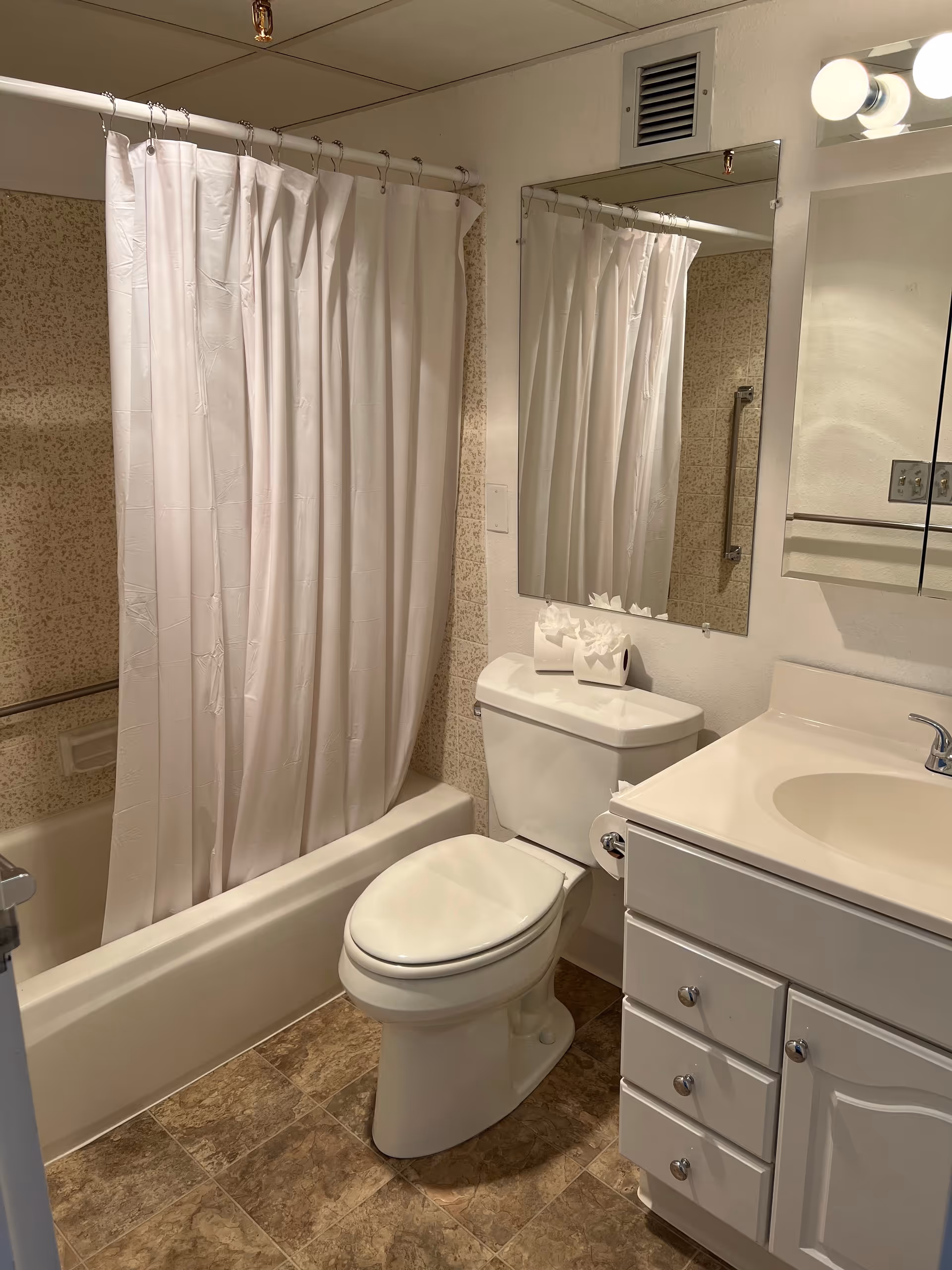 Small bathroom featuring a toilet, white vanity and sink, wall mirror, and a bathtub with a white shower curtain.