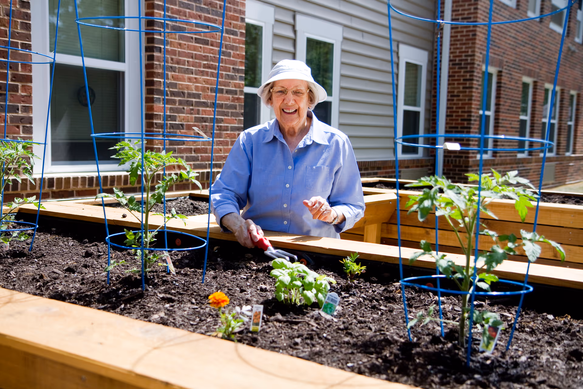 An elderly woman wearing a white hat and blue shirt is gardening in a raised garden bed outside a brick and siding building. She is smiling and holding a small gardening tool while tending to young plants supported by blue metal cages.