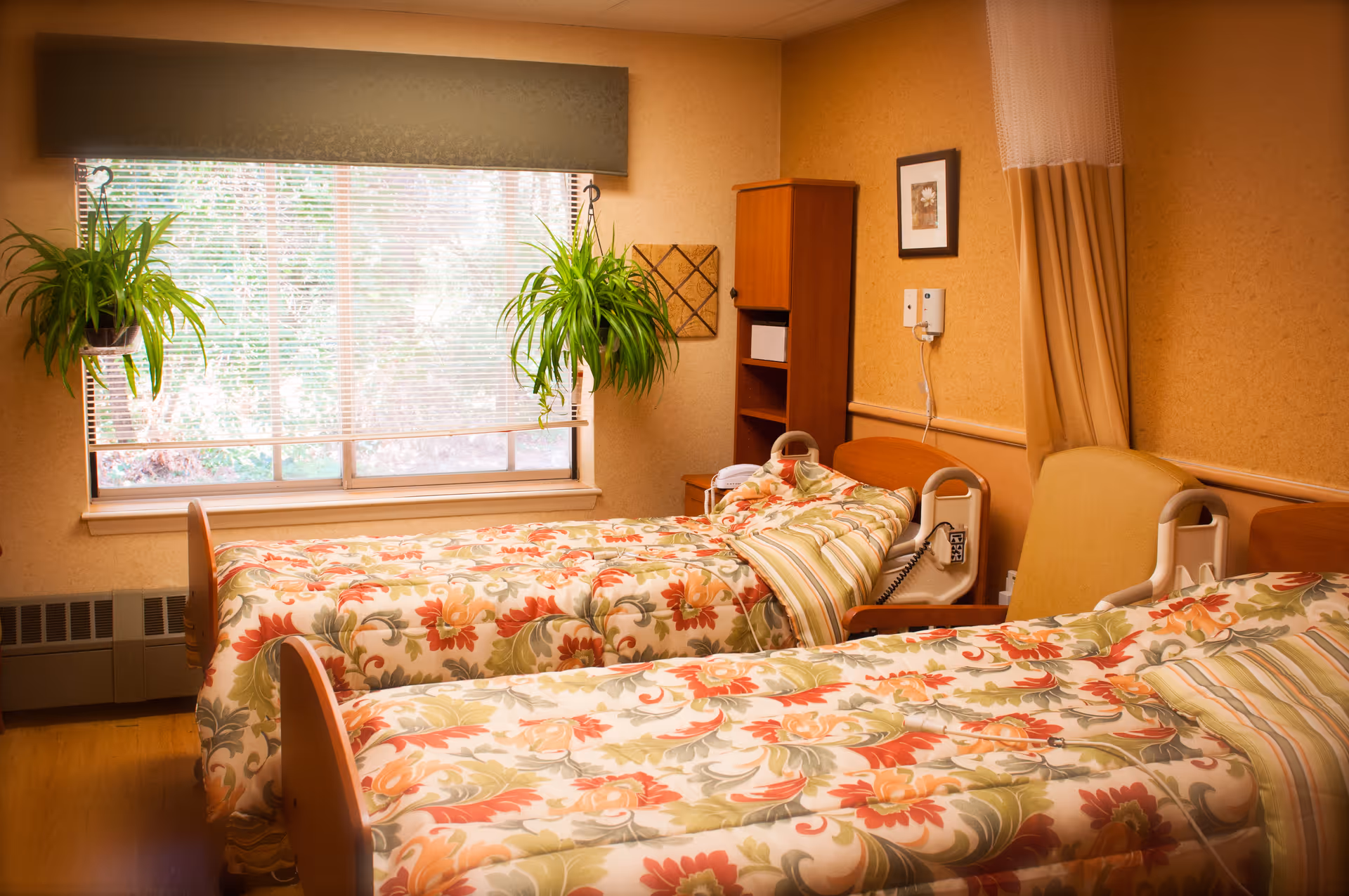 A cozy room with two hospital-style beds featuring floral patterned bedspreads. The room has a large window with blinds and two hanging green plants. There is a wooden shelving unit and a framed picture on the wall. The walls are beige, and there is a curtain that can be drawn for privacy between the beds.