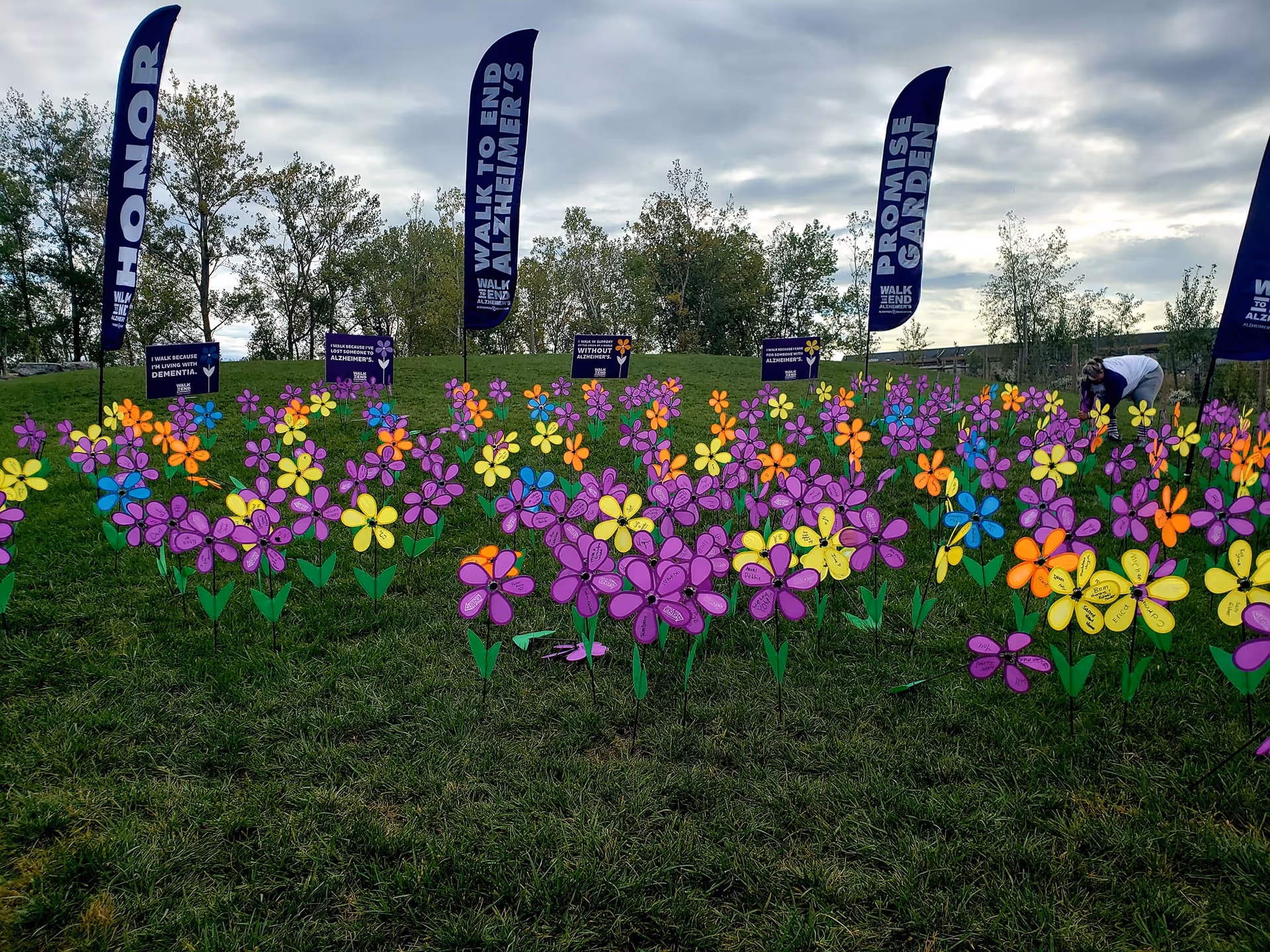 A grassy outdoor area with numerous colorful pinwheel flowers planted in the ground, including purple, yellow, orange, and blue flowers. Behind the flowers are several tall blue flags with white text reading 'HONOR', 'WALK TO END ALZHEIMER'S', and 'PROMISE GARDEN'. Trees and a cloudy sky are visible in the background. A person is seen tending to the flowers on the right side of the image.