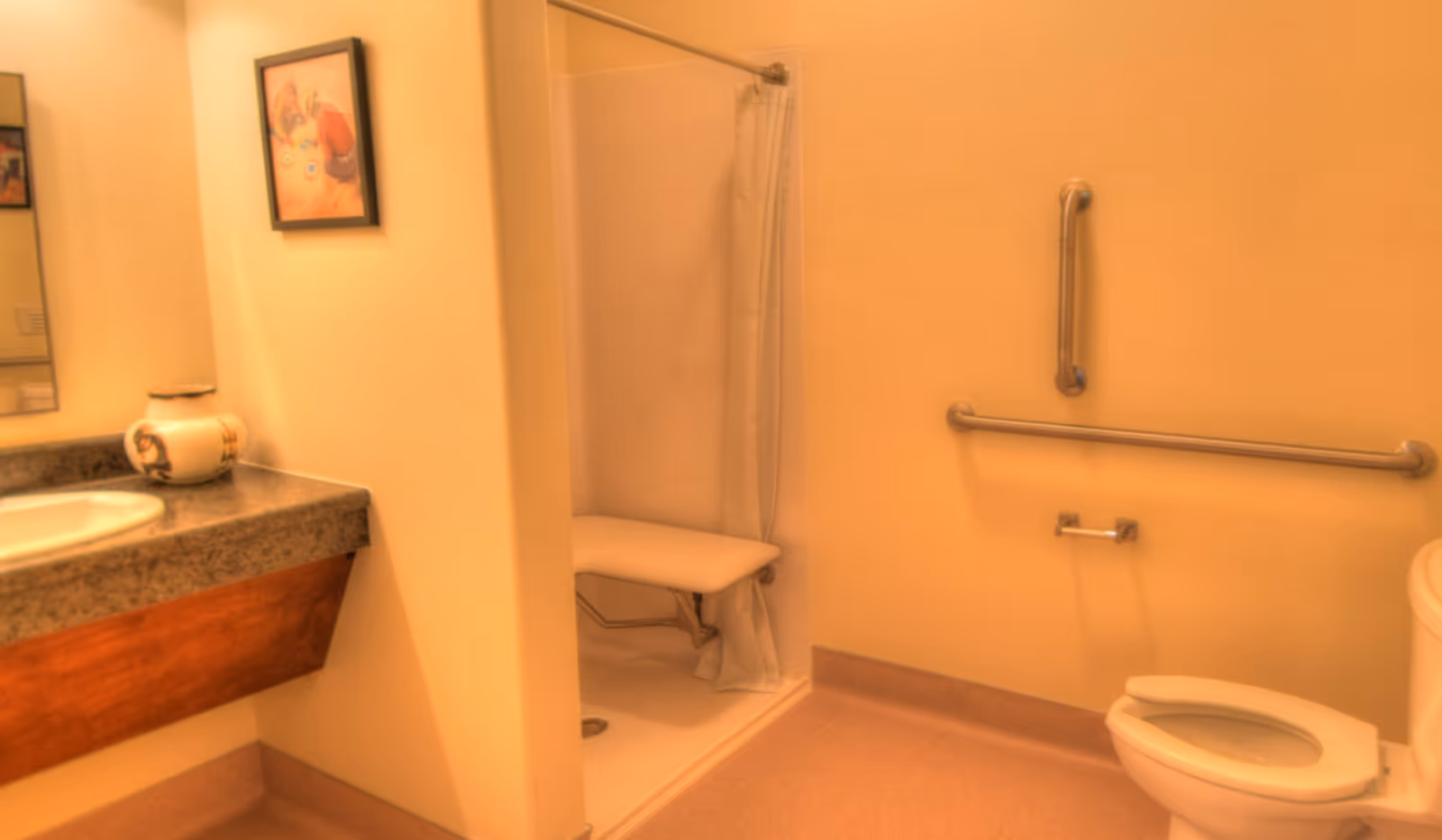 Accessible bathroom with a sink and countertop, a walk-in shower with a fold-down seat, grab bars, and a toilet.
