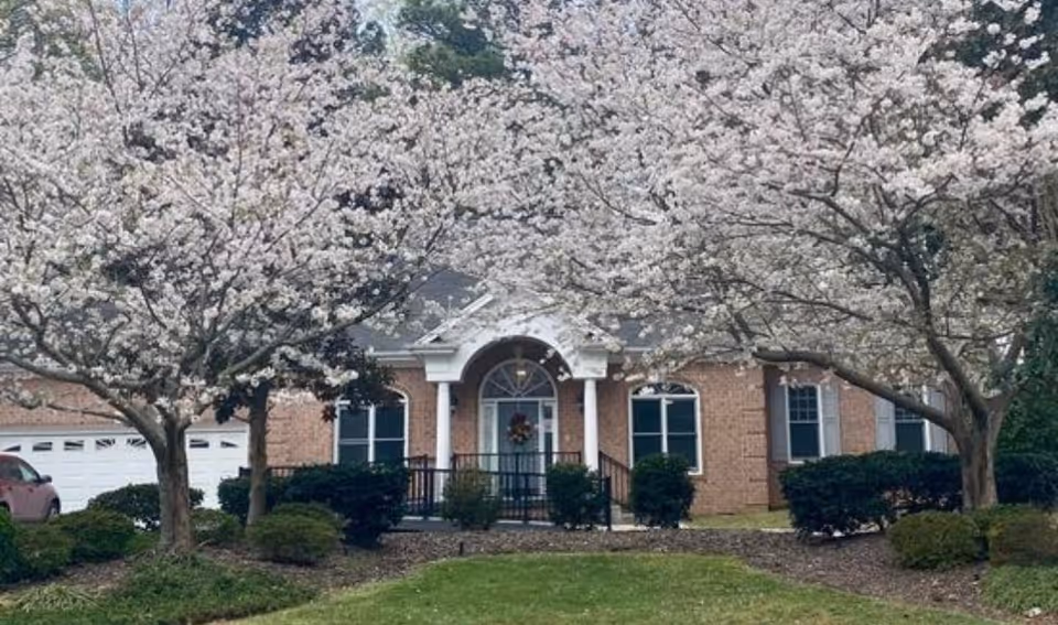 Front view of a brick building with a white arched entrance and columns, surrounded by blooming trees with white flowers and green bushes in the foreground.