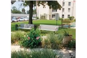 Outdoor garden area with green grass, plants, and flowers. Two wooden benches are placed on a paved area under a tree. In the background, there is a multi-story building and parked cars.
