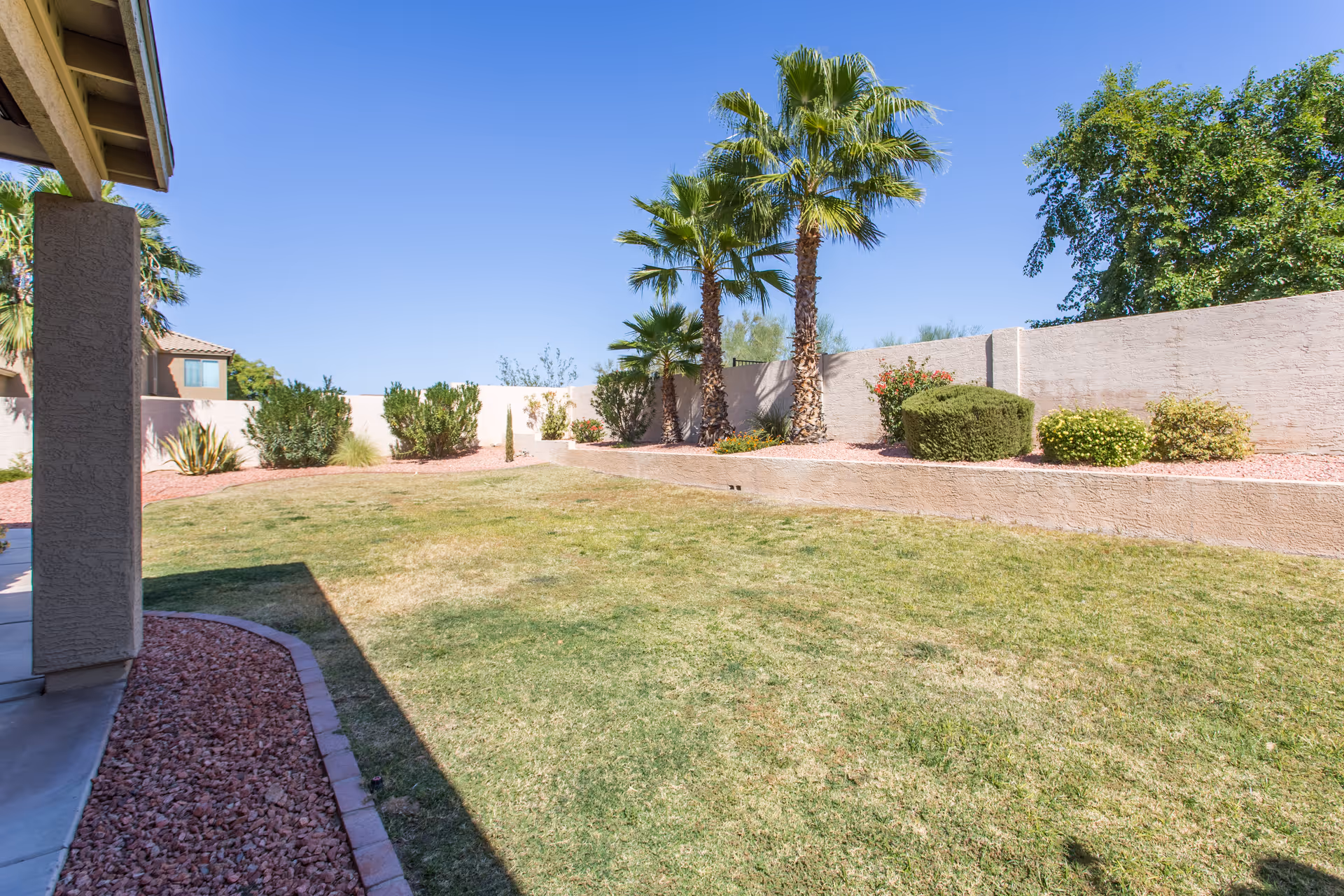 A sunny outdoor backyard area with a grassy lawn, palm trees, various shrubs, and a beige stucco wall enclosing the space. Part of a covered patio with a concrete floor and a supporting column is visible on the left side.