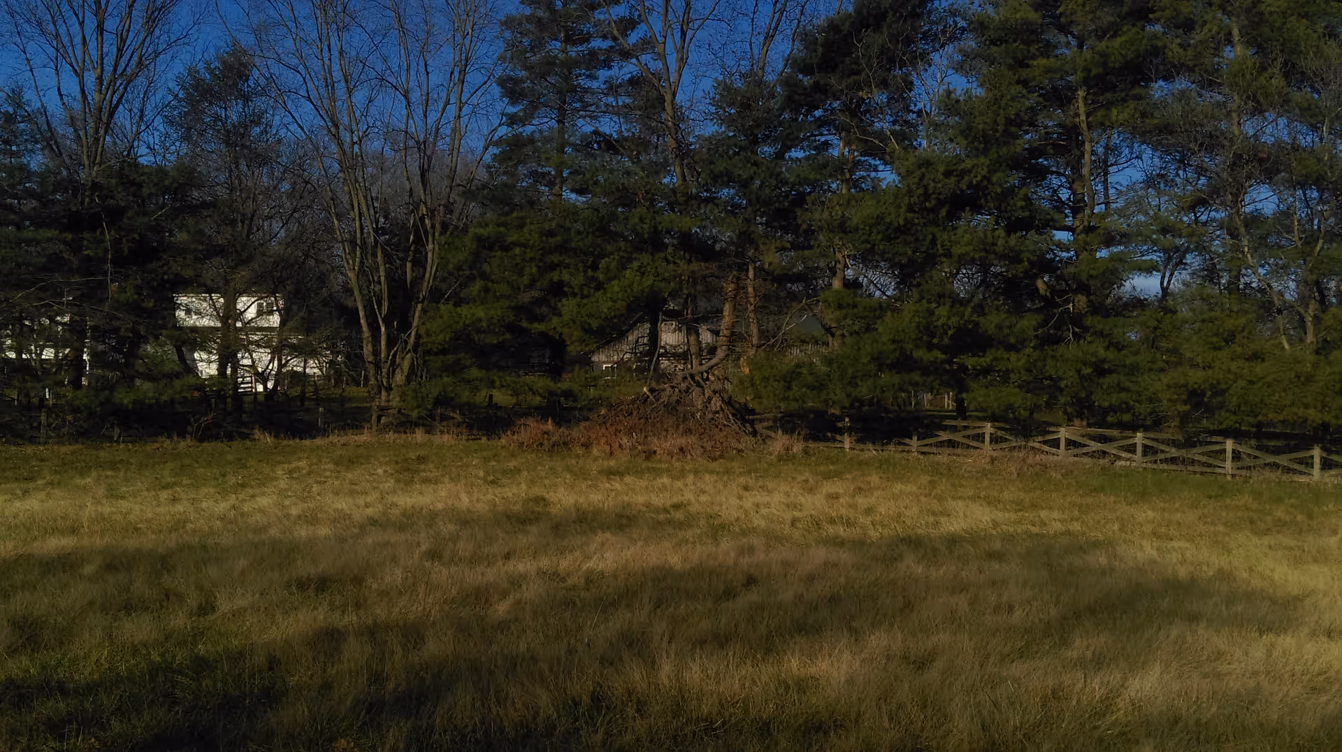 A grassy field with a wooden fence and tall trees in the background under a clear blue sky.