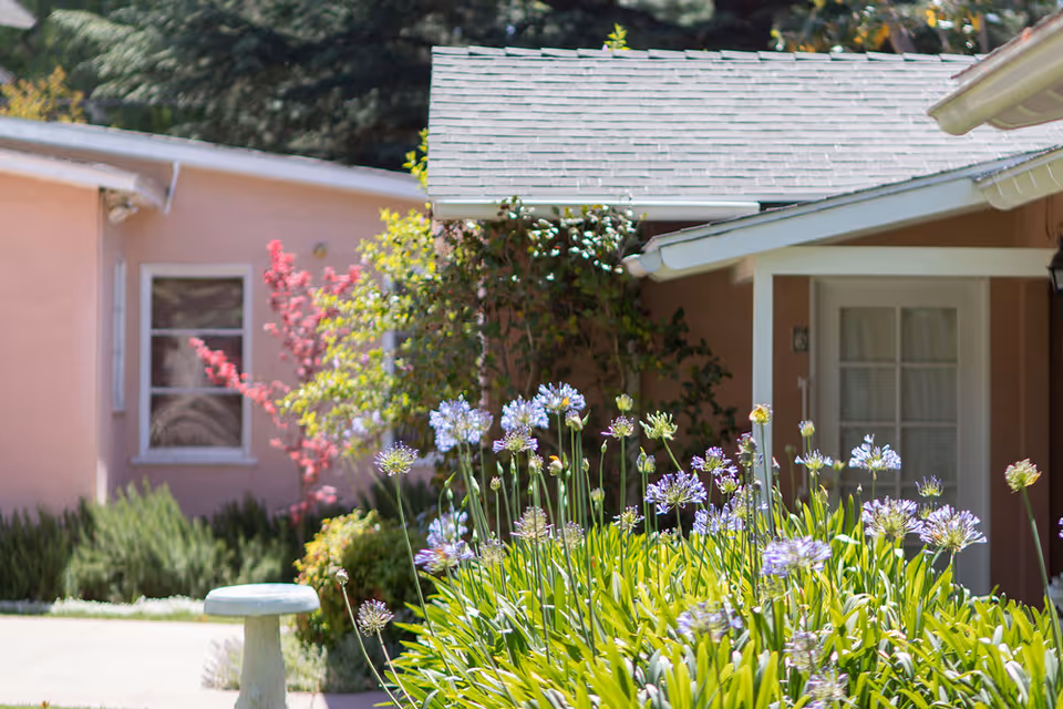 A garden area with blooming purple flowers in the foreground and a pink building with a window and a covered porch in the background, surrounded by greenery and trees.