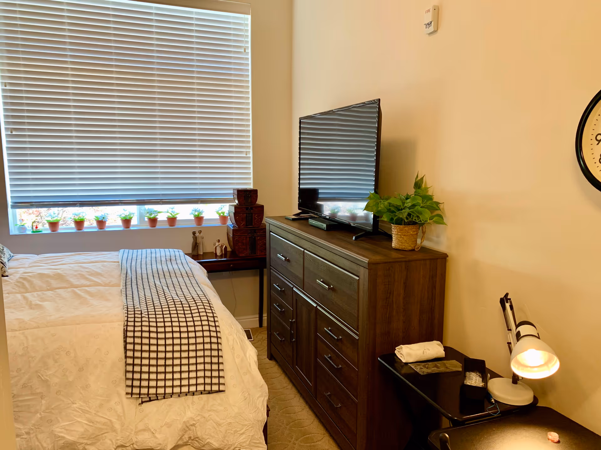 Small furnished bedroom with a bed, dresser topped with a TV and plant, and a window with blinds and a row of small potted plants.