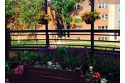 A small outdoor garden area with various flowering plants and greenery in planter boxes, surrounded by a wooden railing. In the background, there is a brick building with multiple windows.