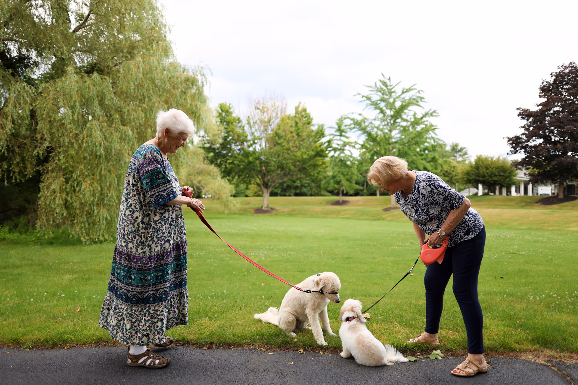 Two elderly women standing on a paved path in a grassy park area, each holding a leash with a small white dog. One woman is wearing a long patterned dress and sandals, while the other is dressed in a floral top, dark pants, and sandals. Trees and a building are visible in the background under a cloudy sky.