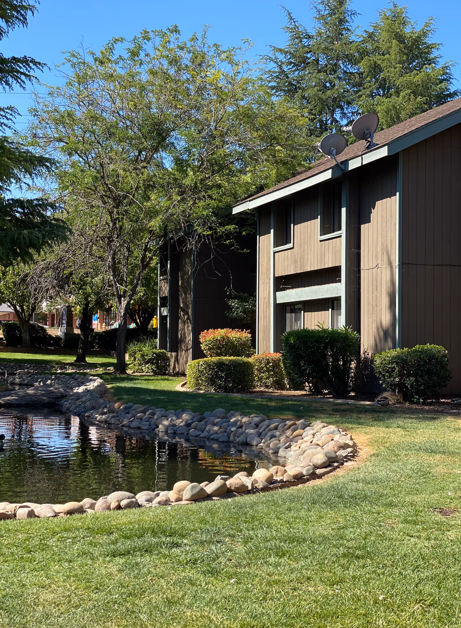Two-story brown residential building beside a landscaped pond with rocks, shrubs, and trees under a clear blue sky.