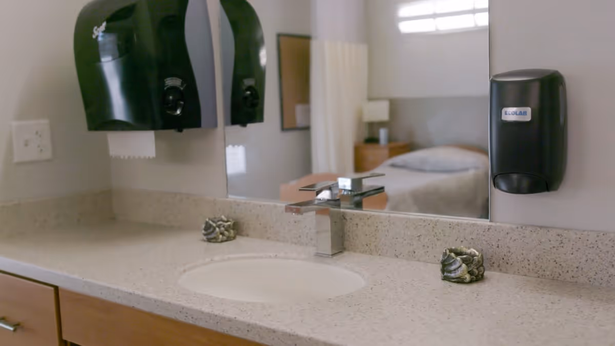 A clean bathroom sink countertop with a modern faucet, two decorative seashell-shaped soap holders, a black paper towel dispenser mounted on the wall, and a black soap dispenser labeled ECOLAB. A mirror above the sink reflects a bed and nightstand in an adjacent room.