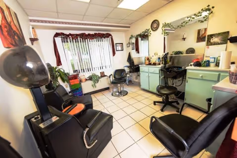Small salon room with hair styling chairs, a hooded dryer, mirrors, and countertops decorated with plants and supplies.