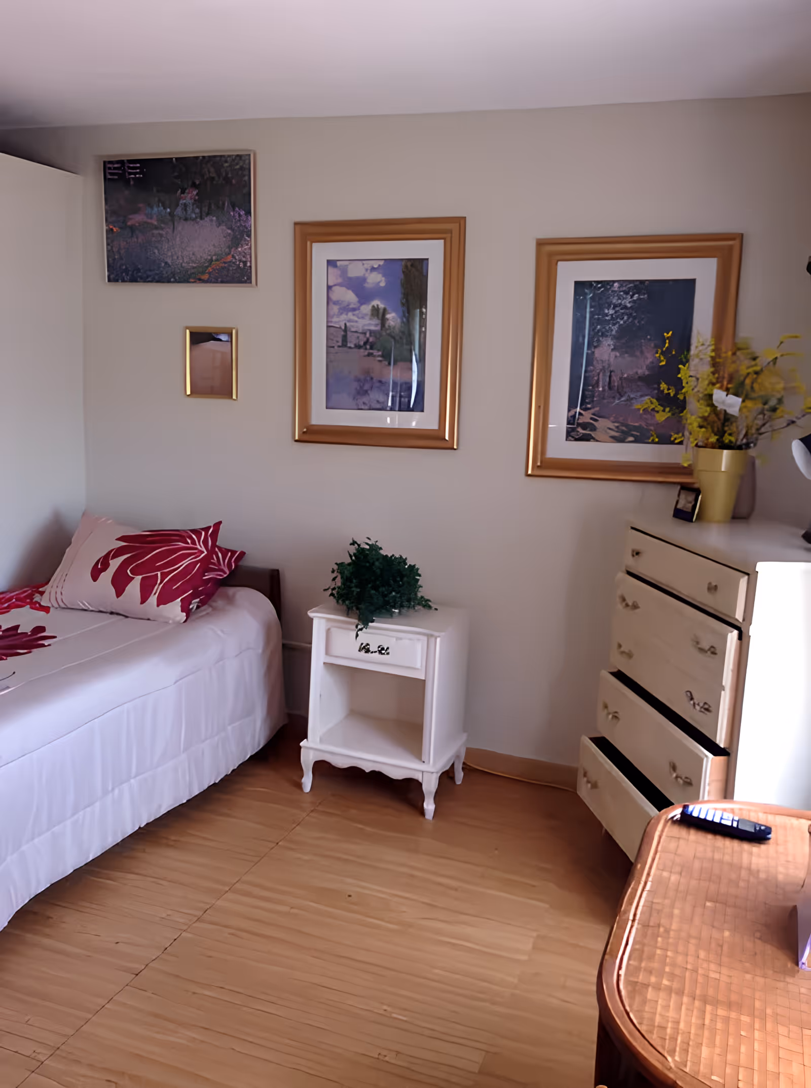 Tidy single bedroom with a bed, nightstand, dresser, framed artwork, and a small plant.
