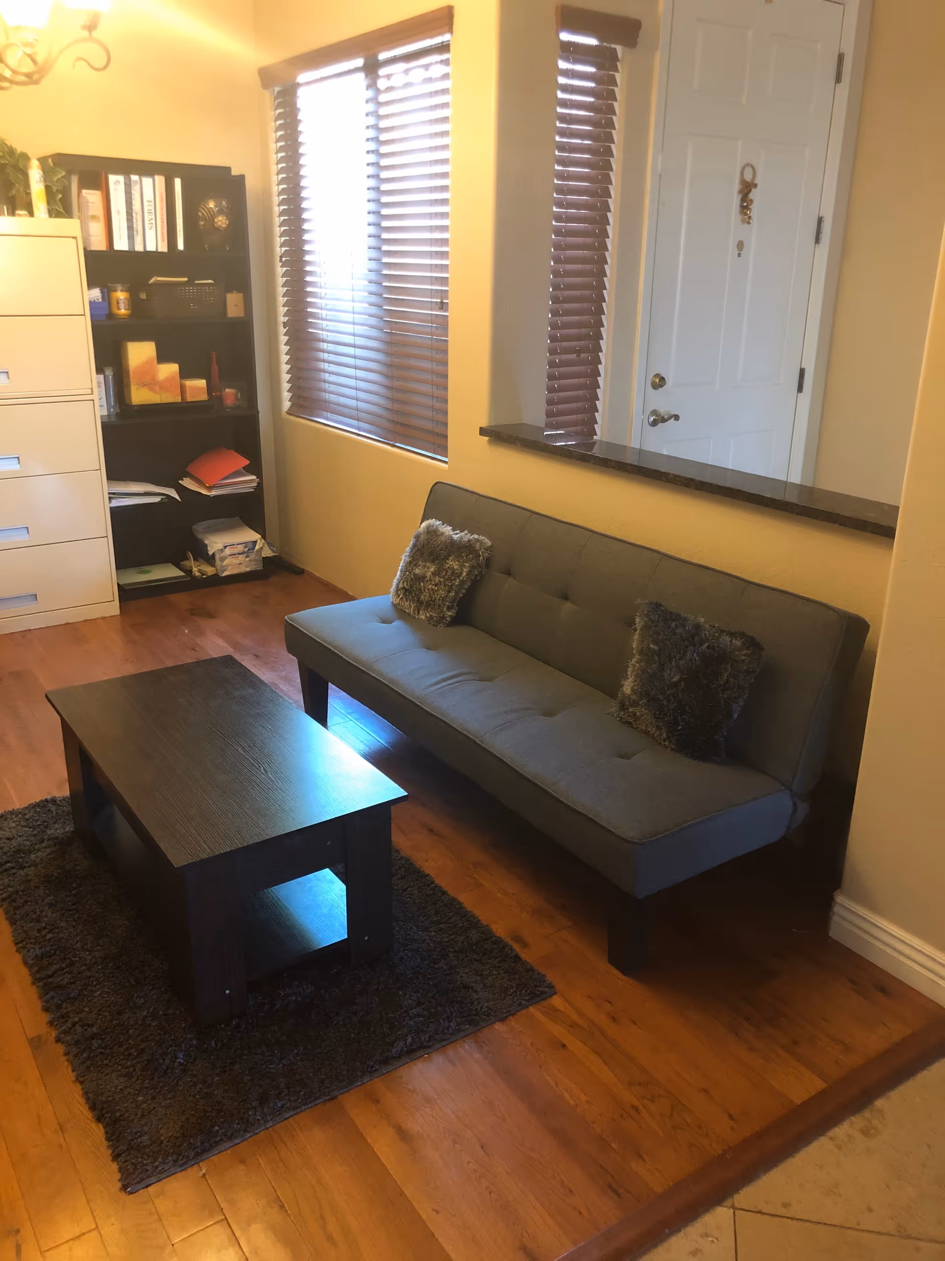 A small living area with a gray couch adorned with two furry pillows, a dark wooden coffee table on a dark rug, a window with closed blinds, a white door with a decorative hanging, and a black bookshelf filled with books and various items next to a white filing cabinet.