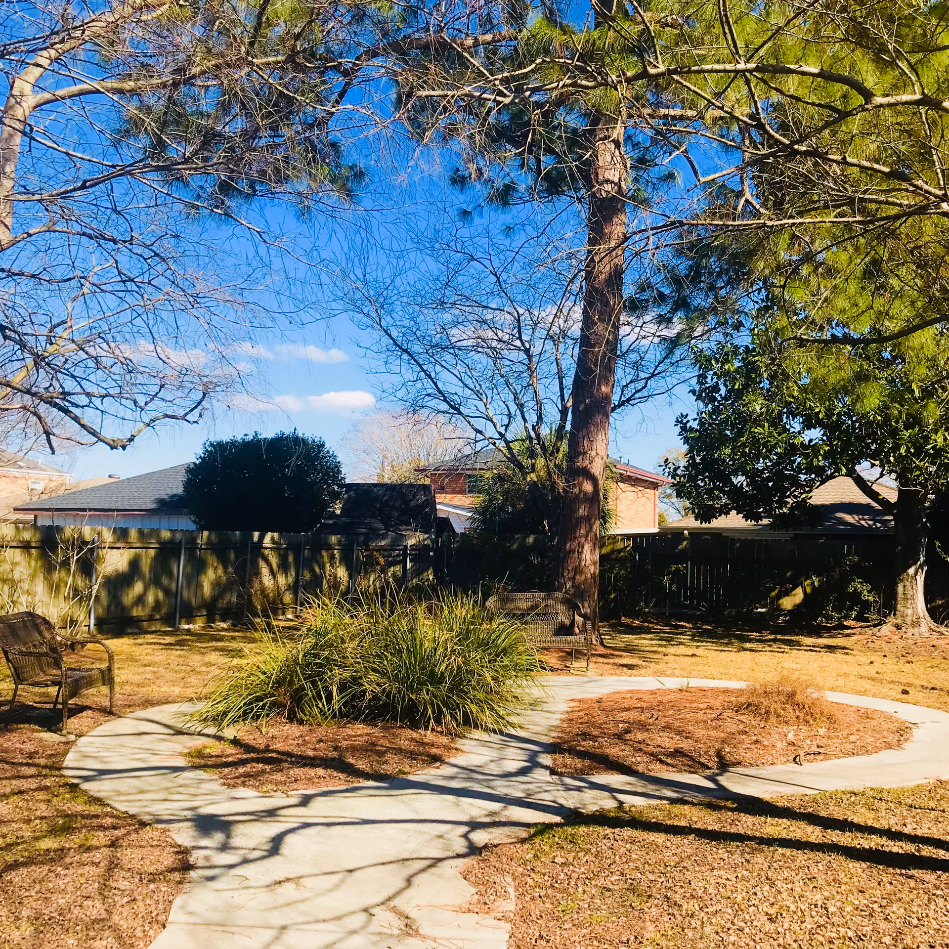 A sunny outdoor garden area with a curved concrete pathway, surrounded by dry grass and trees, some with bare branches and others with green foliage. There are two metal benches placed near the pathway, and a wooden fence with houses visible in the background under a clear blue sky.