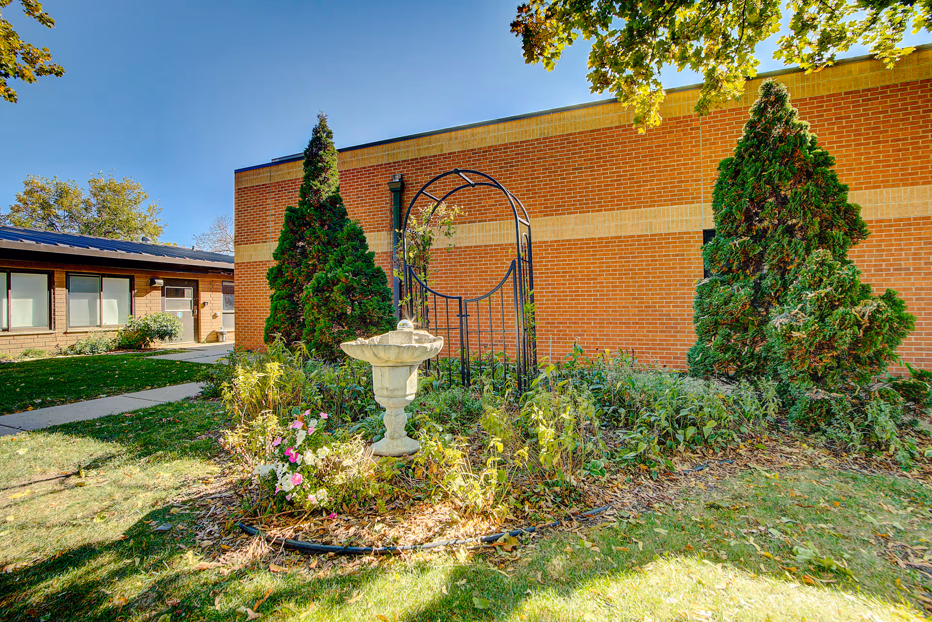 Outdoor garden area with a small birdbath fountain surrounded by plants and flowers, two tall evergreen trees, a metal arch trellis, and a brick building in the background under a clear blue sky.