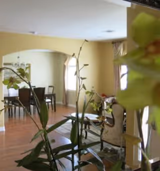 Interior view of a living area with wooden flooring, a dining table with chairs in the background, and a sofa with a side table in the foreground. There are plants partially obscuring the view and windows with curtains letting in natural light.