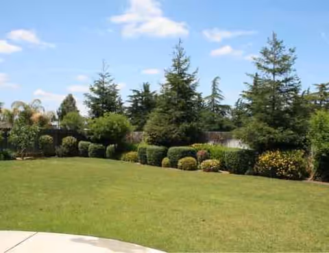 Well-kept grassy lawn with shrubs and trees under a blue sky.