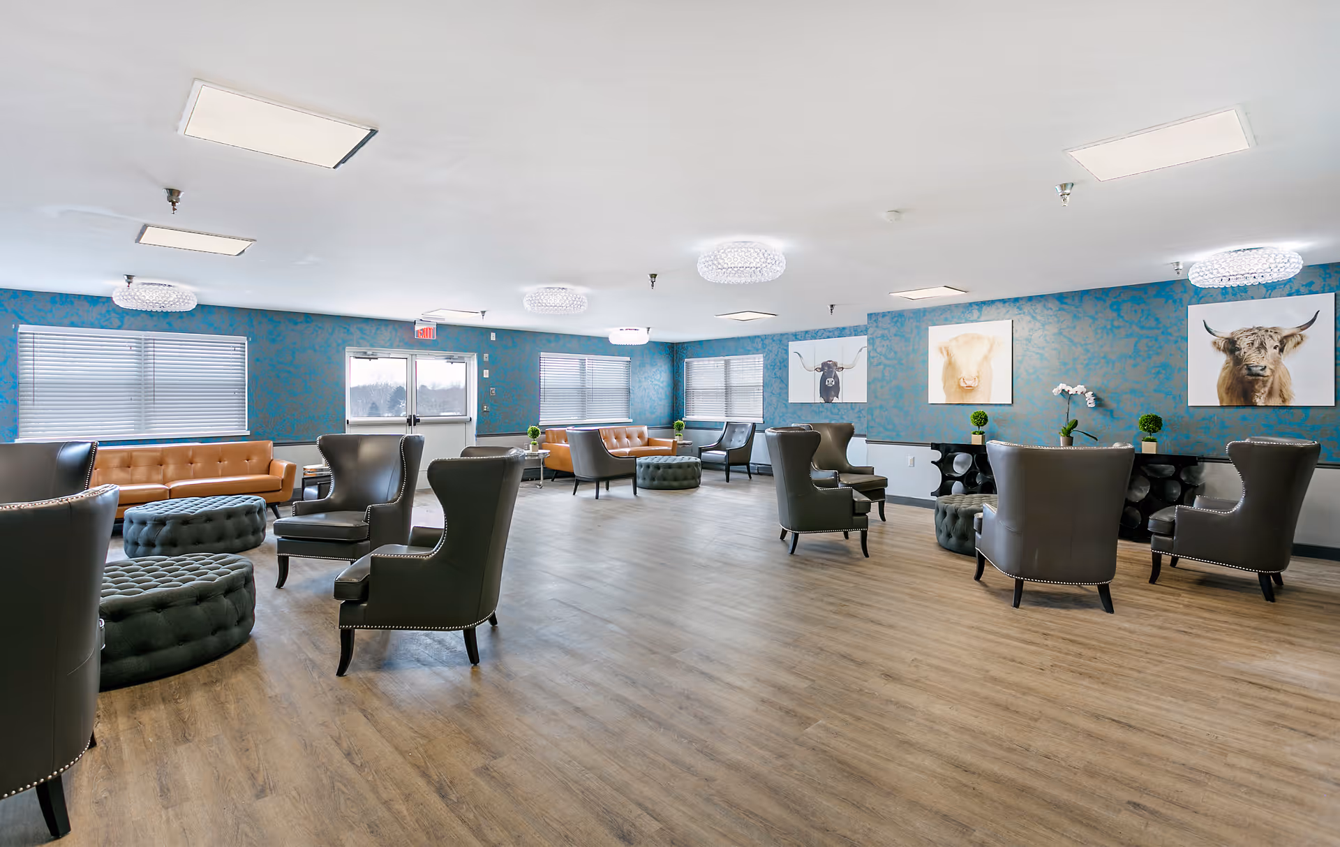 Spacious communal lounge with leather sofas, armchairs, ottomans, and blue patterned walls displaying animal artwork.