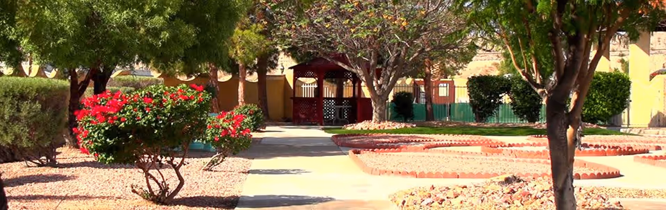 Outdoor garden area with a paved walkway, red flowering bushes, trees, and a wooden gazebo in the background surrounded by a fence.