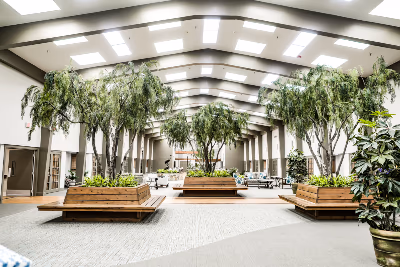 Spacious skylit interior atrium with wooden planter benches and tall indoor trees.