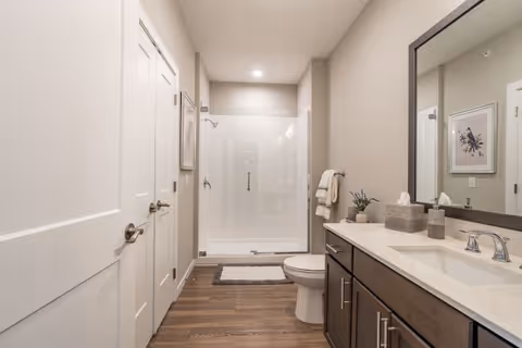Modern bathroom with a walk-in shower, vanity with mirror, toilet, and wood-look flooring.
