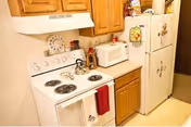 Small apartment-style kitchen with an electric stove, microwave, refrigerator, wooden cabinets, and countertop appliances.