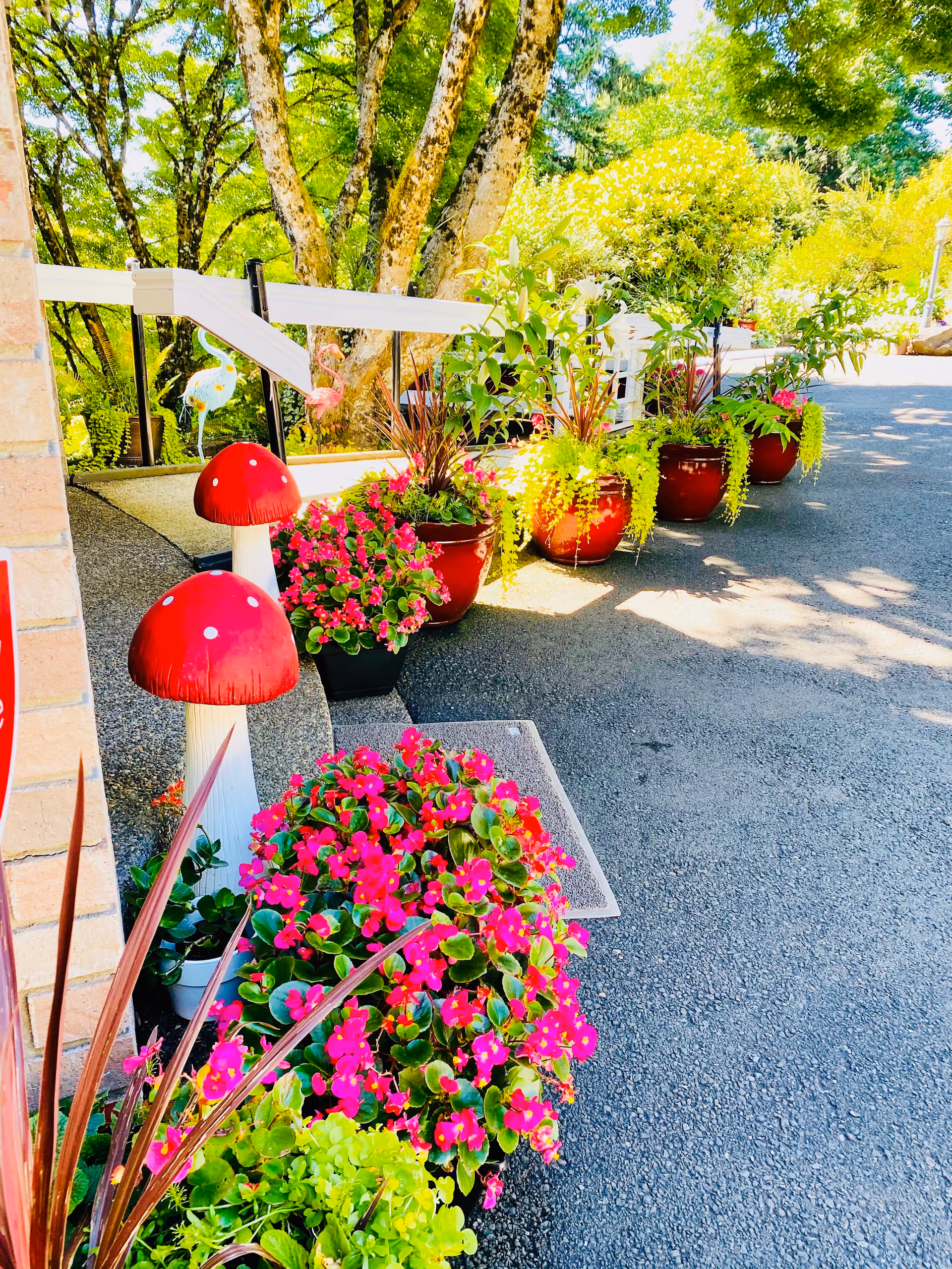 Colorful potted flowers and decorative red mushroom ornaments line a sunlit entrance driveway beside trees.