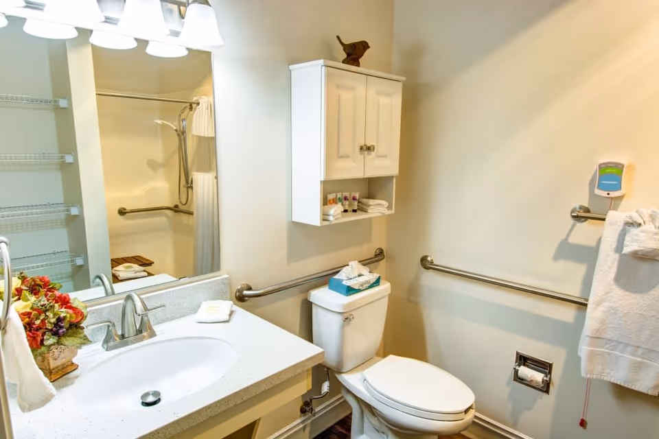 A clean and well-lit bathroom featuring a white sink with a silver faucet, a large mirror above the sink, a toilet with a tissue box on top, a white cabinet mounted on the wall above the toilet, grab bars on the walls for accessibility, a towel hanging on a grab bar, and a shower area with a curtain and a shower seat visible in the mirror.