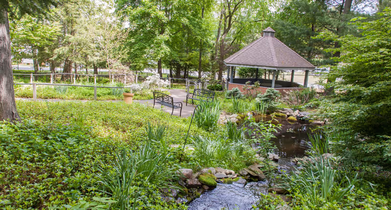 A leafy outdoor garden with a gazebo, benches, and a small pond and stream surrounded by lush greenery.