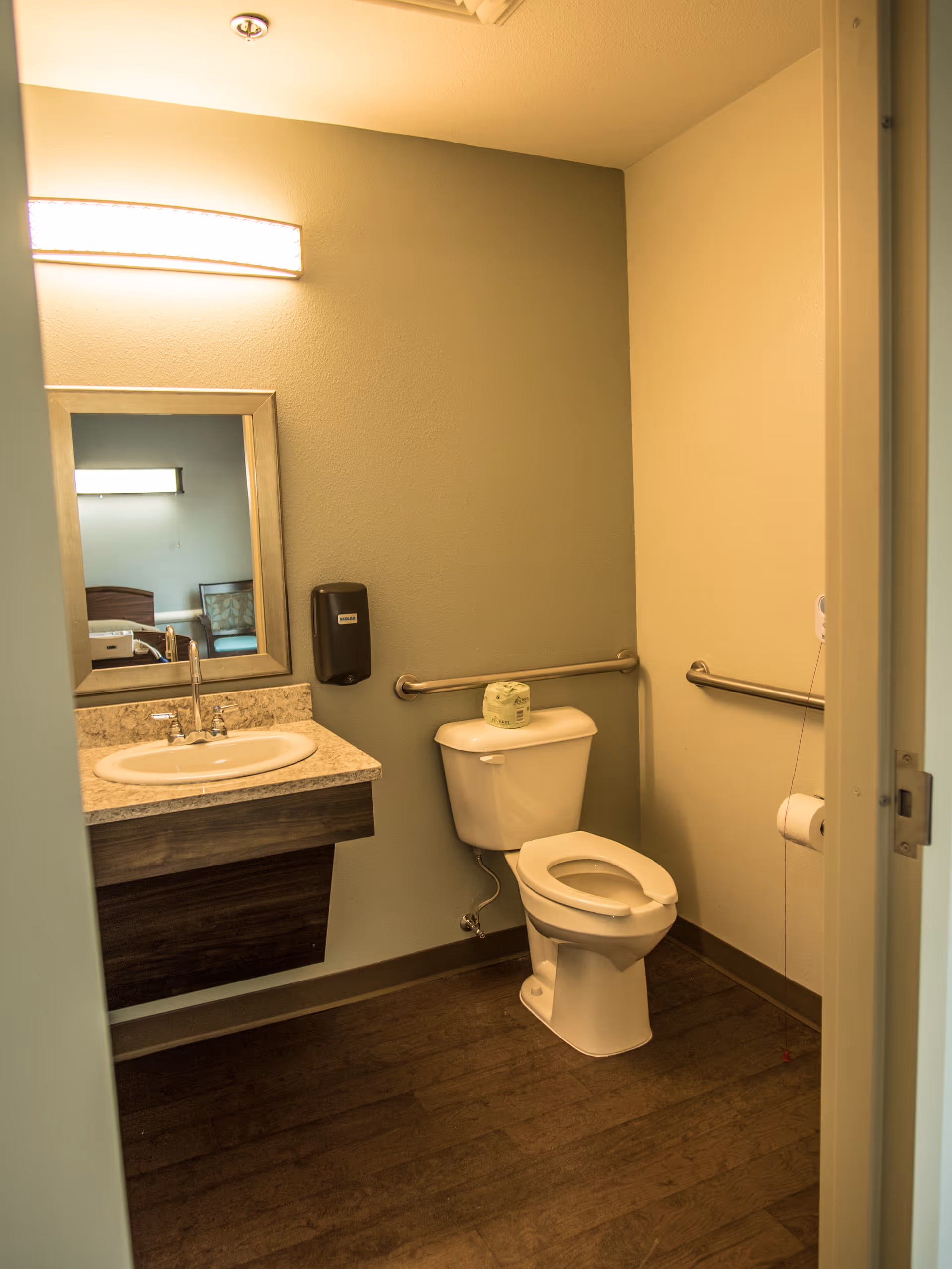 A small bathroom with a toilet and a sink with a countertop. There are grab bars on the walls near the toilet, a wall-mounted soap dispenser, a mirror above the sink, and a light fixture above the mirror. The floor is wooden, and the walls are painted in neutral colors.