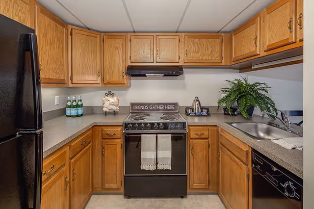 A kitchen with wooden cabinets, a black refrigerator on the left, a black stove with two white towels hanging on the handle, a countertop with a decorative sign that reads 'FRIENDS GATHER HERE', a plant near the sink, and a dishwasher on the right.