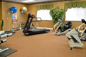 Carpeted fitness room with a treadmill, stationary bikes, free weights, exercise balls and a potted plant under two windows.