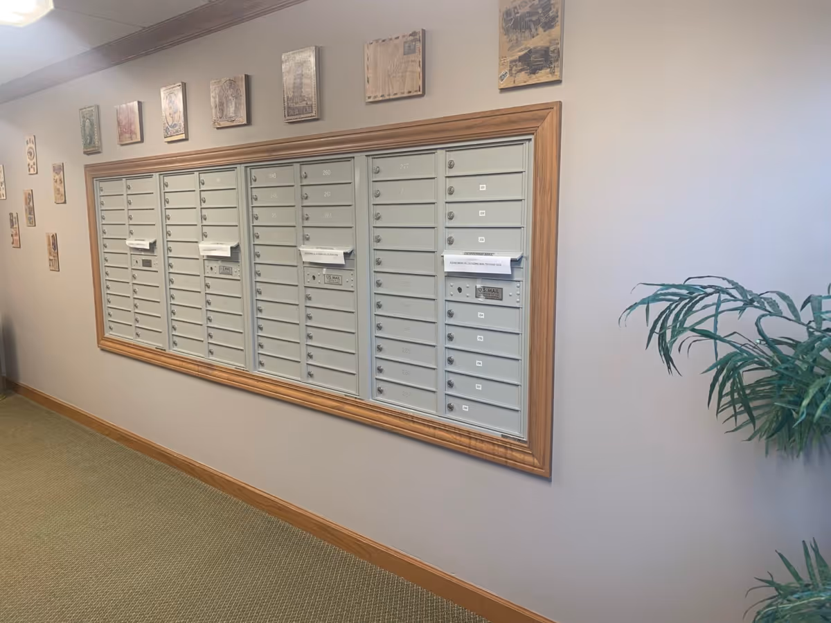 A wall-mounted set of multiple gray mailboxes with wooden trim in a hallway. The wall is decorated with small framed pictures above the mailboxes and to the left side. There is a green carpet on the floor and a potted plant partially visible on the right side.