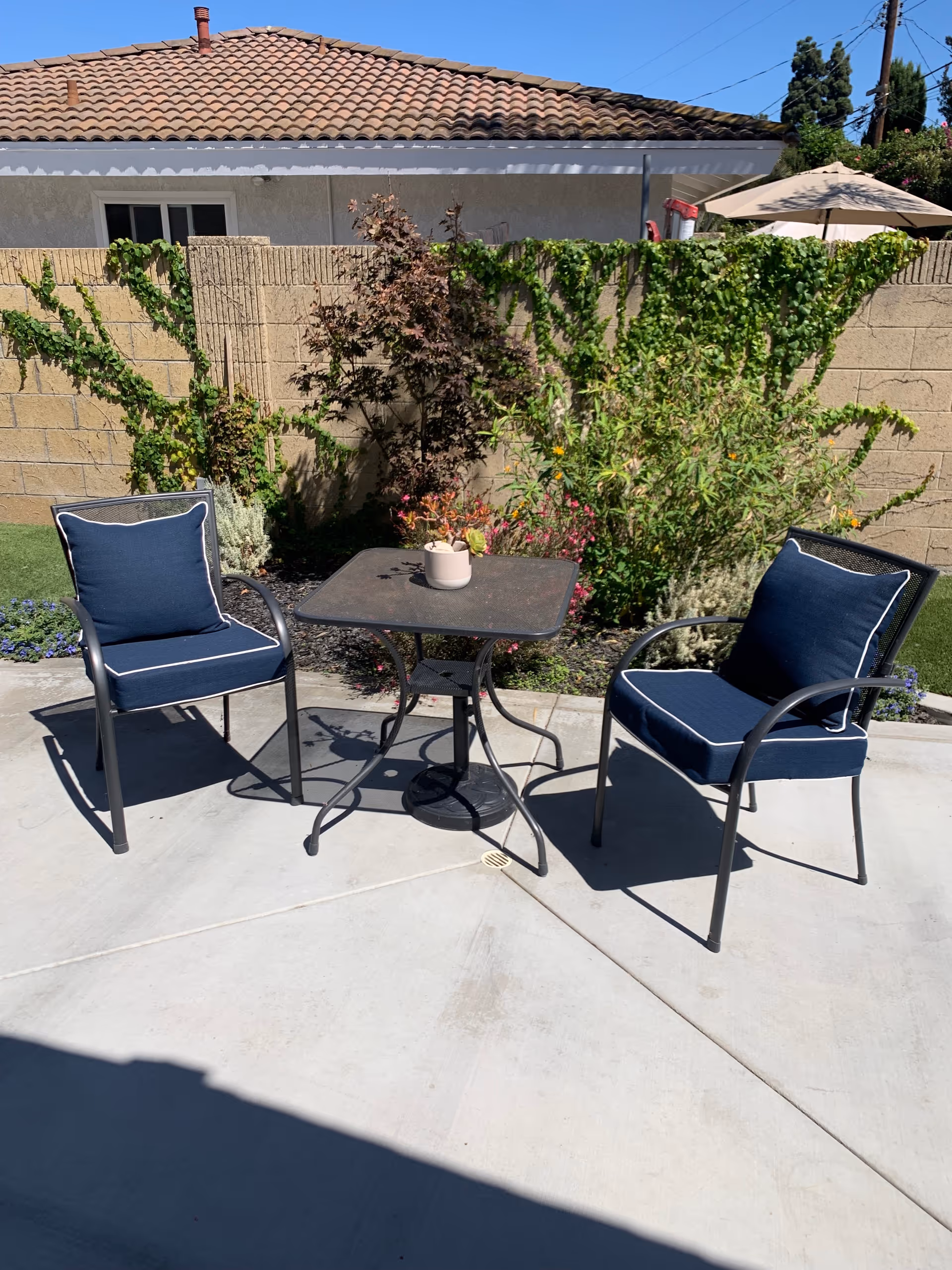 Outdoor patio area with two metal chairs featuring navy blue cushions and a small square metal table between them. The table has a small potted plant on it. Behind the seating area is a beige brick wall with green vines and various plants growing along it. A house with a tiled roof and a beige umbrella are visible in the background under a clear blue sky.