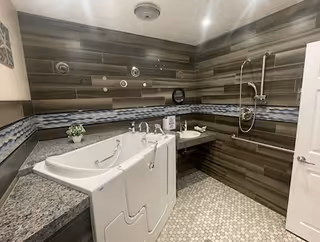 A modern bathroom featuring a walk-in bathtub with grab bars and a handheld showerhead. The walls are decorated with horizontal wood-like tiles and a decorative blue and white tile border. The floor has small hexagonal tiles, and there is a small potted plant on the countertop next to the tub.