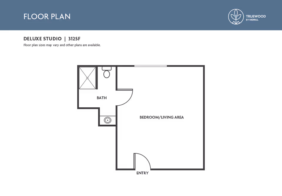Graphic floor plan of a deluxe 312 sq ft studio showing an entry, bedroom/living area and a bath.
