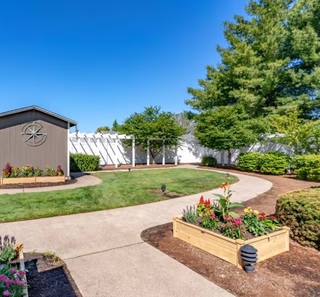 Sunny landscaped courtyard with a winding concrete path, raised flower beds, trees, and a small shed.
