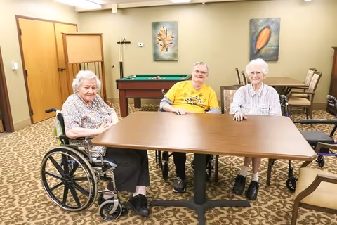Three elderly individuals sitting around a rectangular wooden table in a room with patterned carpet. Two of them are in wheelchairs. Behind them is a pool table and two framed leaf artworks on the wall. There are additional chairs and tables in the background.