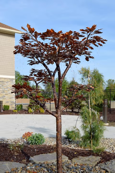 Exterior landscaped area with a brown ornamental tree, rocks, mulch, and a building wall.