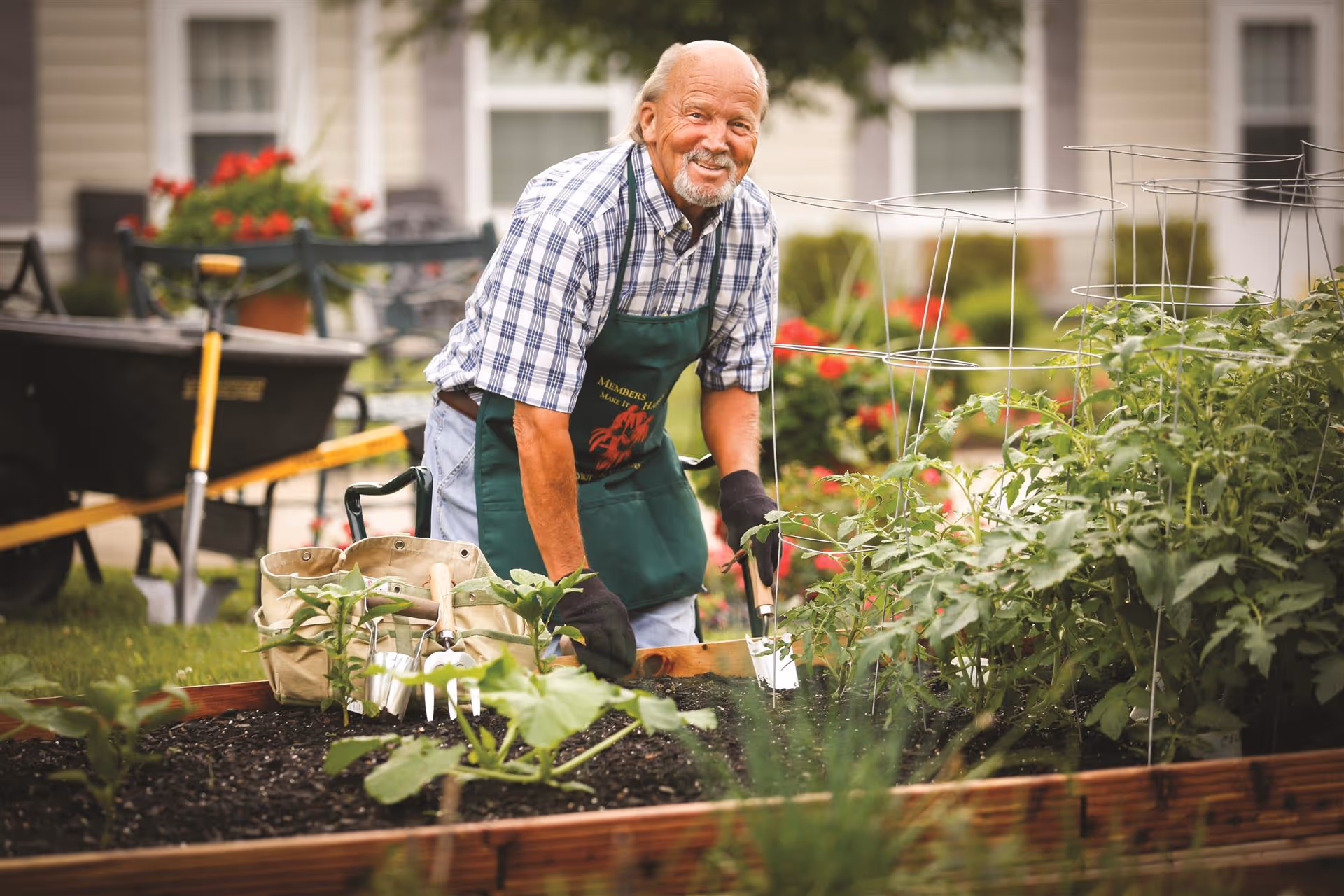 An elderly man wearing a green apron and gloves is gardening in a raised garden bed with various plants. He is smiling and holding gardening tools, with a wheelbarrow and shovel in the background. The setting appears to be an outdoor garden area of a residential facility.