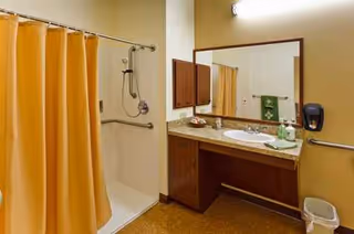 Accessible bathroom with orange shower curtain, grab bars, sink, mirror, and wooden cabinets.