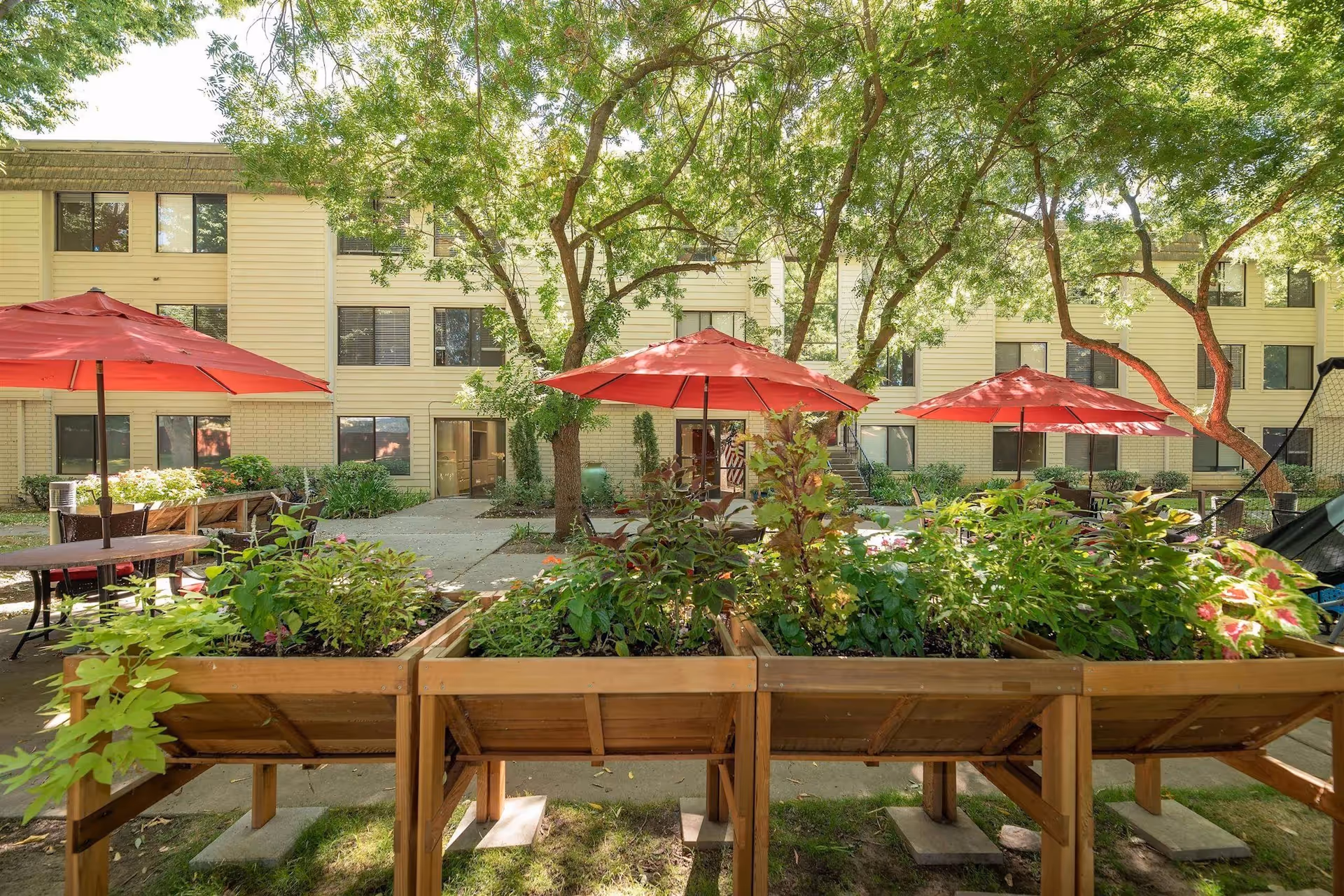 Courtyard with raised wooden planters, red patio umbrellas, and trees in front of a three-story senior living building.