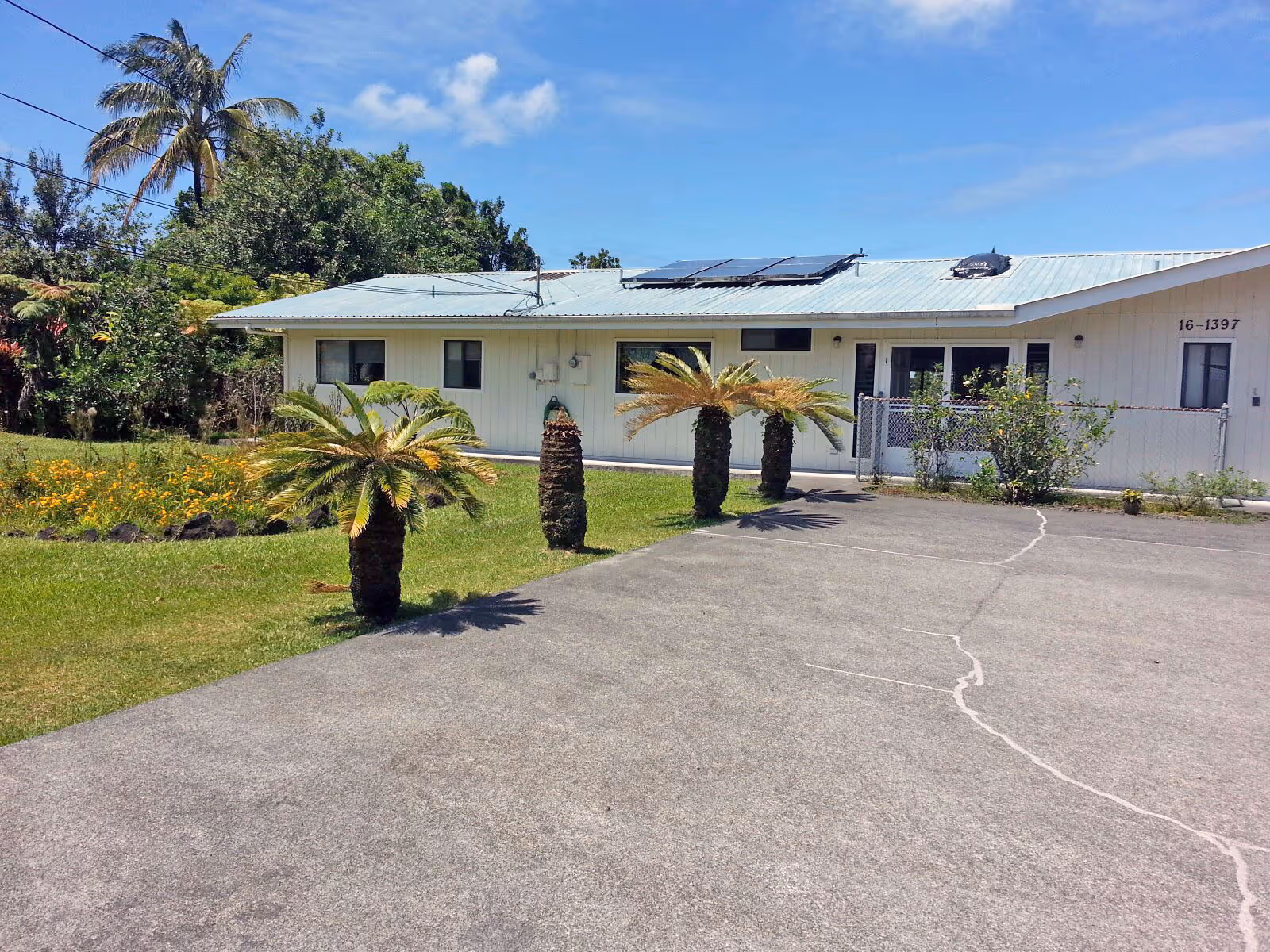 Single-story white building with a metal roof and solar panels, a concrete driveway, and small palm trees on the front lawn.