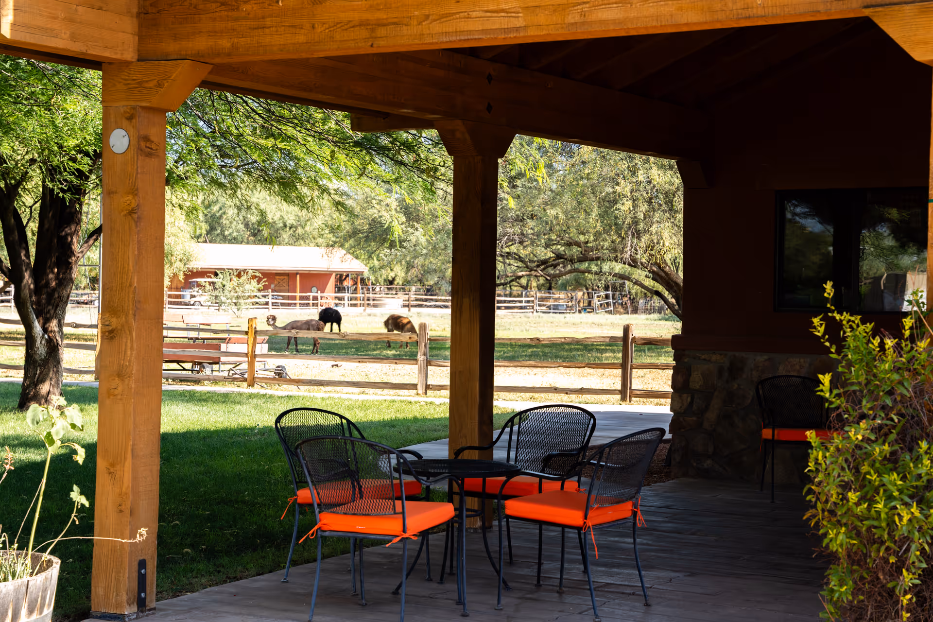 Covered outdoor patio area with a table and four chairs with orange cushions, overlooking a fenced grassy area with trees and grazing animals in the background.