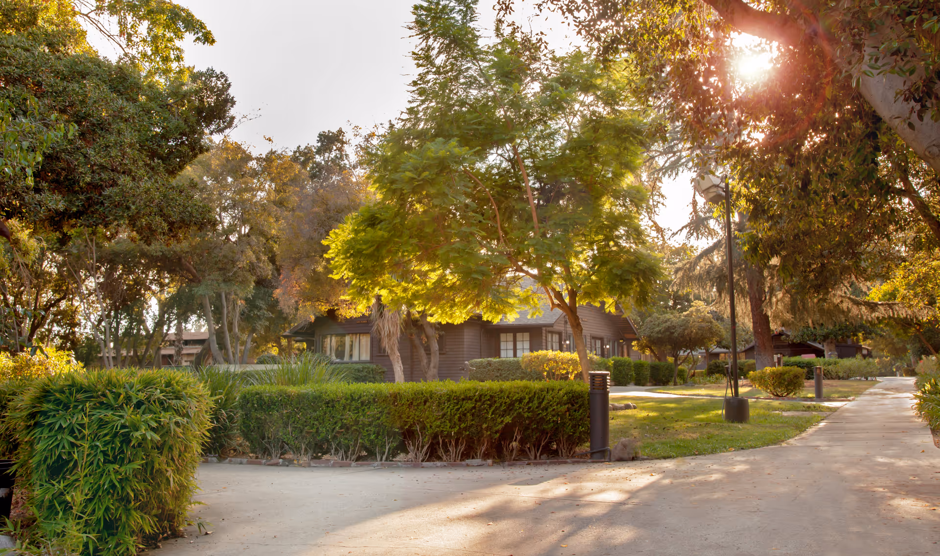 A sunlit outdoor pathway surrounded by lush green trees and bushes, with a brown building partially visible in the background. The scene is peaceful with sunlight filtering through the leaves, casting shadows on the ground.