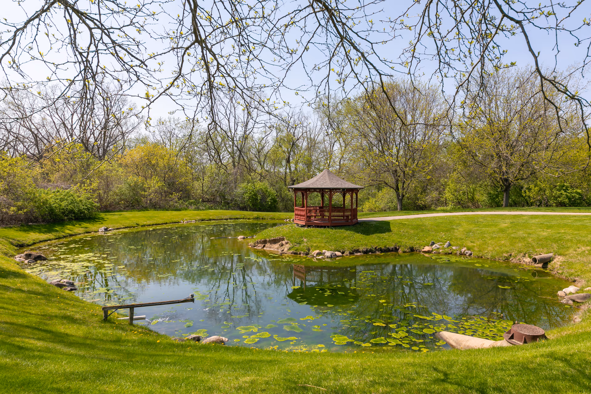 A serene outdoor scene featuring a small pond with lily pads surrounded by lush green grass and trees. A red wooden gazebo is situated on a small grassy peninsula extending into the pond. The sky is clear and blue, and tree branches with budding leaves frame the top of the image.