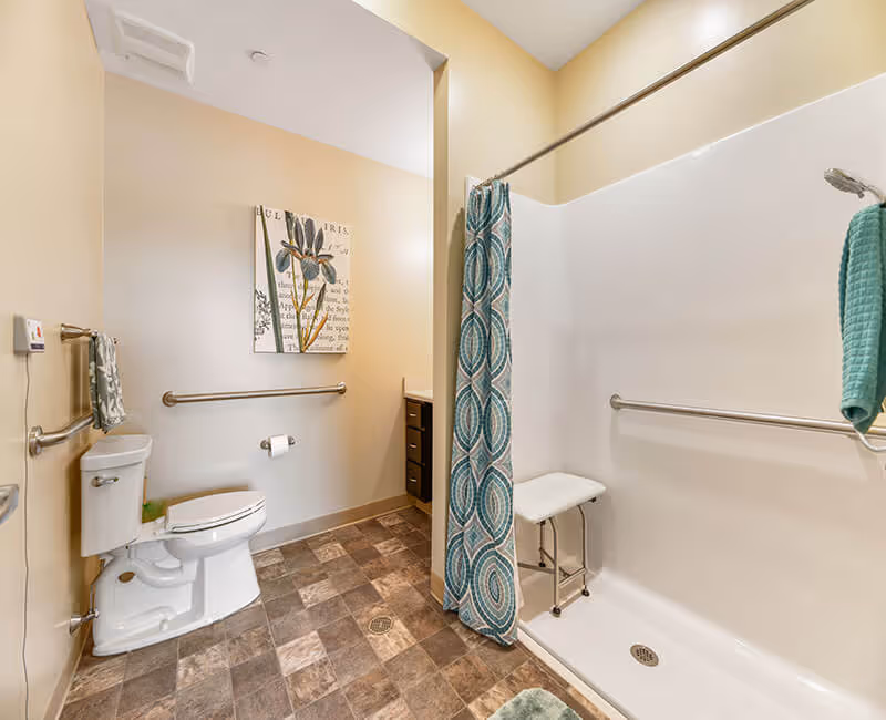Accessible bathroom with a toilet, grab bars, and a walk-in shower with a seat and patterned shower curtain.