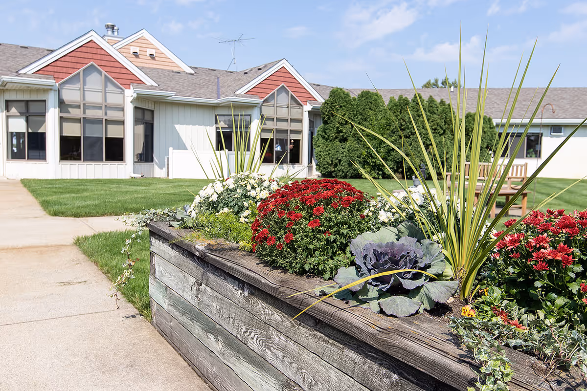 Outdoor garden area at Care Cardinal Byron Center featuring a raised wooden planter box filled with red and white flowers, green plants, and ornamental cabbage. In the background, there is a building with large windows, a well-maintained lawn, a concrete walkway, and a wooden bench under a clear blue sky.
